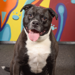 Fundraising Page: Elizabeth Watkins